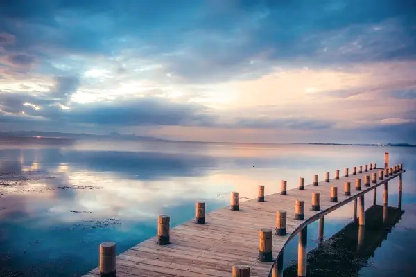 提前占有在法律上叫什么