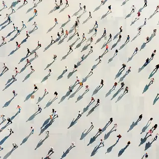 什么是法律法规和道德