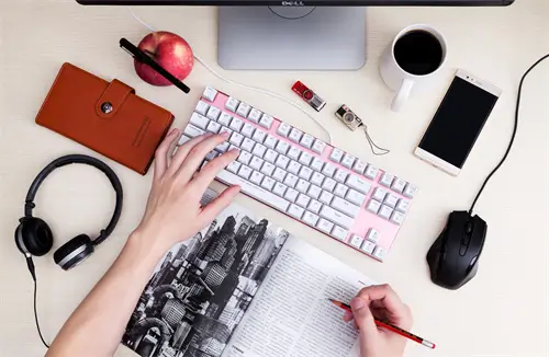 法律专业可以做什么编制